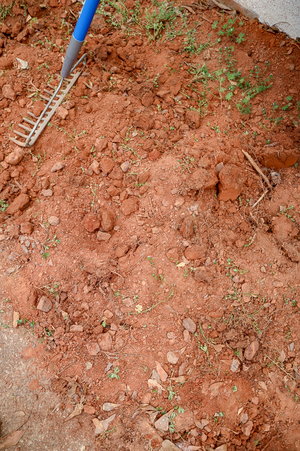 Hard red clay flower bed