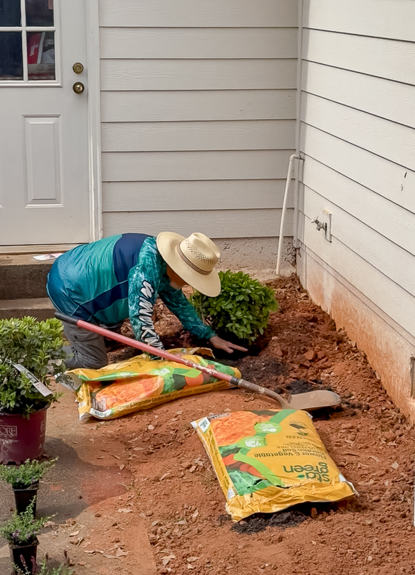 Patting down soil around a plant