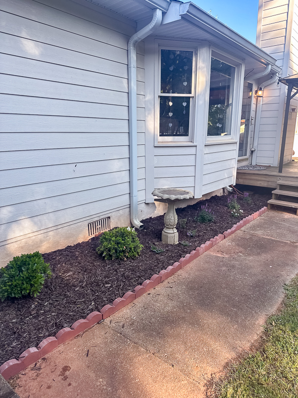 Whimsical flower bed with Salvia and Lantana in Georgia