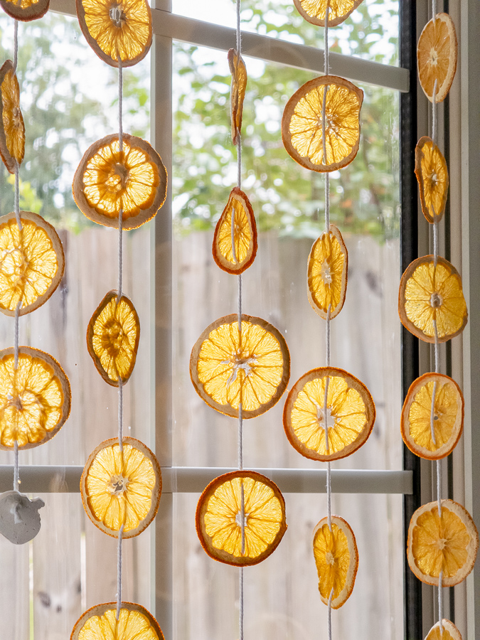 Morning sun shining through dried orange slices on a window suncatcher