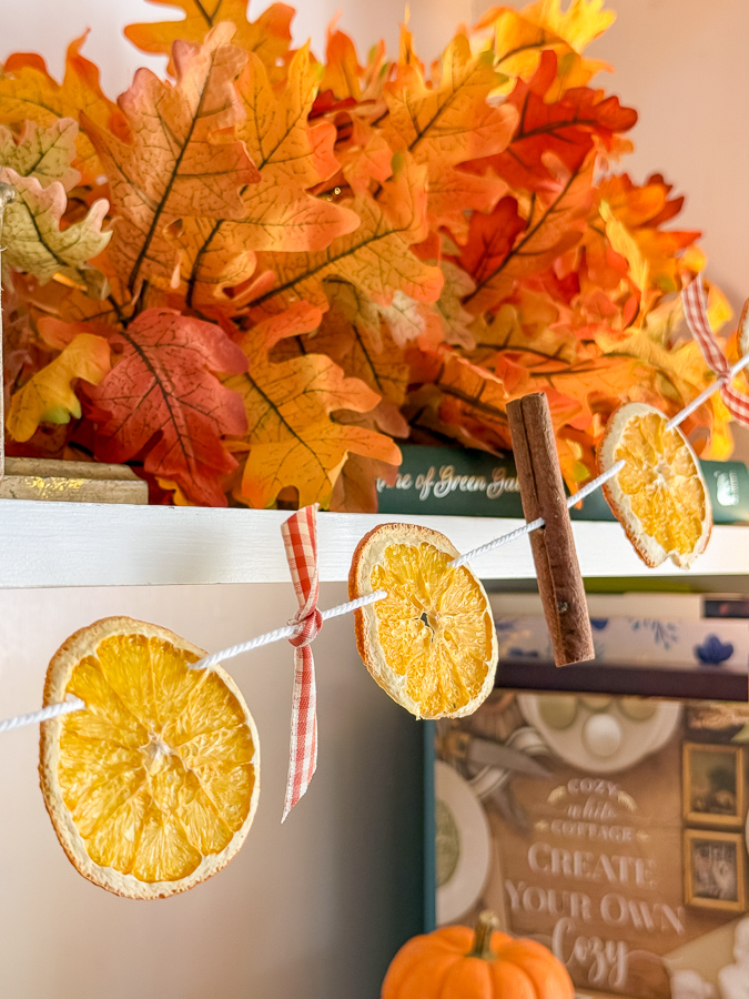 Dried orange slices, a cinnamon stick, and a gingham ribbon bow strung on twine in front of fall leaves