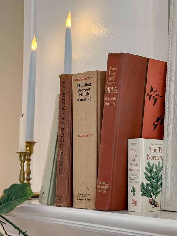 Old books in autumn colors and nature on a fireplace mantel for fall decor