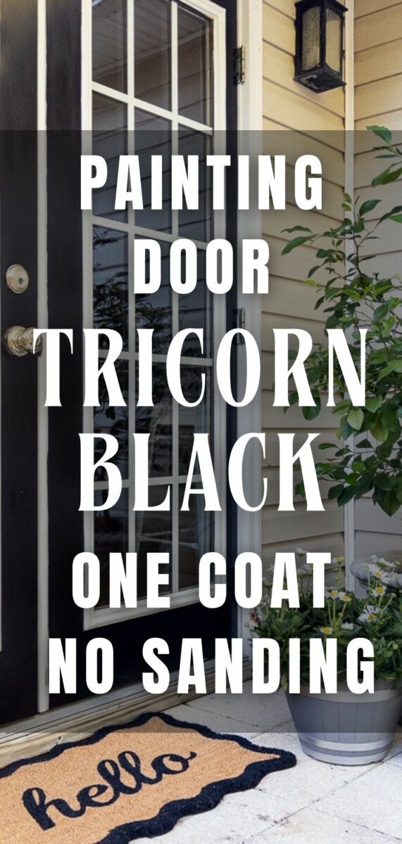 TRICORN BLACK FRENCH DOORS